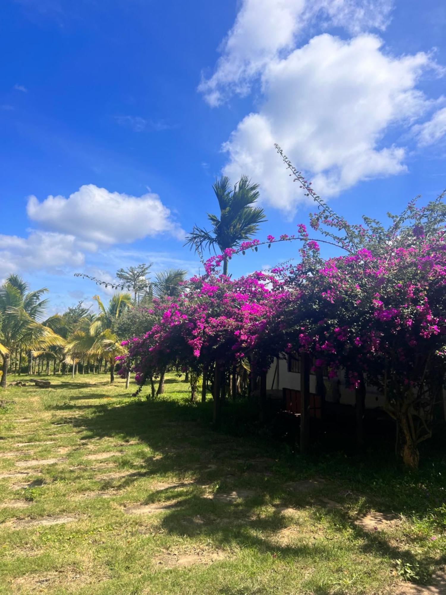Komleo Farm Hotel Buon Ma Thuot Kültér fotó
