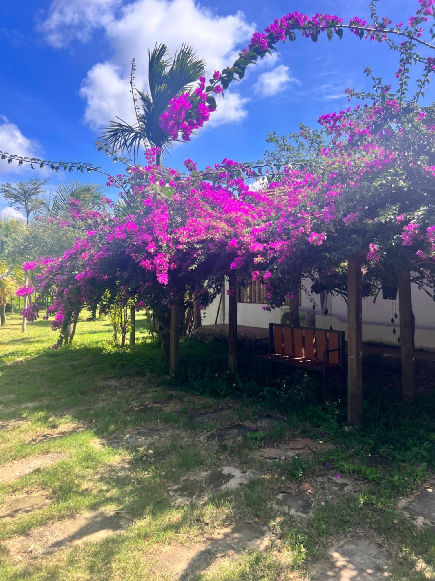 Komleo Farm Hotel Buon Ma Thuot Kültér fotó